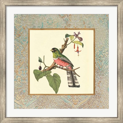 Framed Bel Air Songbirds II Print