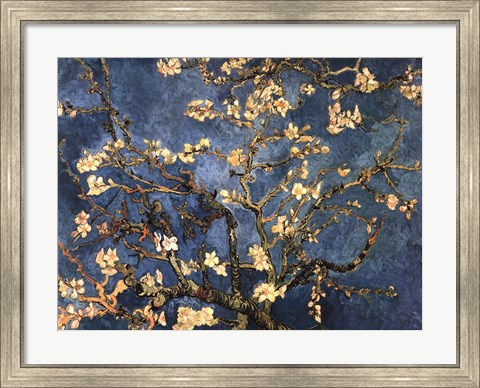 Framed Blossoming Almond Tree, Saint-Remy, c.1890 Print