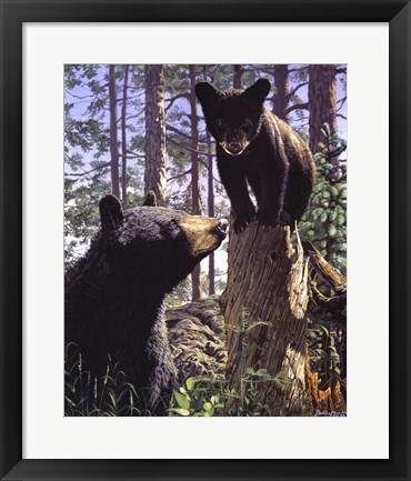 Framed Stump Jumper Print