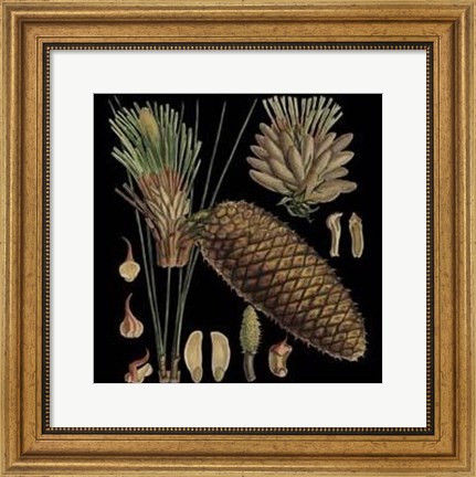 Framed Small Dramatic Conifers VI Print