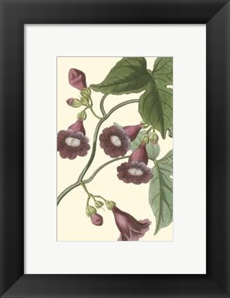 Framed Blossoming Vine V Print