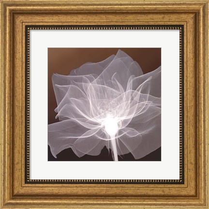 Framed Sheer Delicacy Print