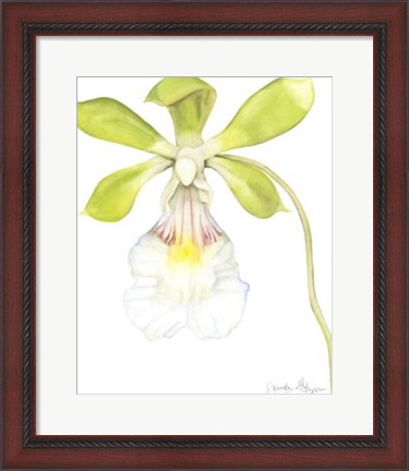 Framed Orchid Beauty I Print