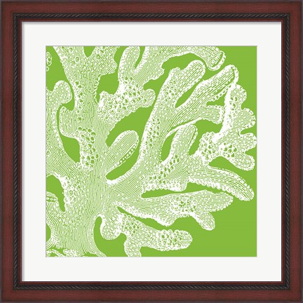 Framed Saturated Coral II Print