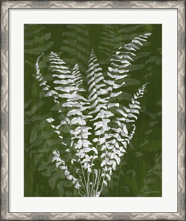 Framed Jewel Ferns I Print