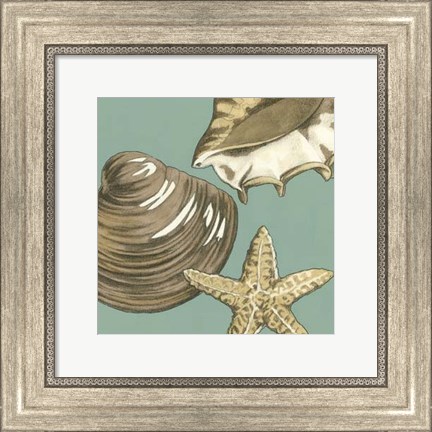 Framed Small Shell Trio on Blue IV (P) Print