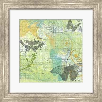 Framed Butterflies II Print