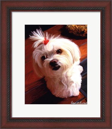 Framed Mini Maltese Print