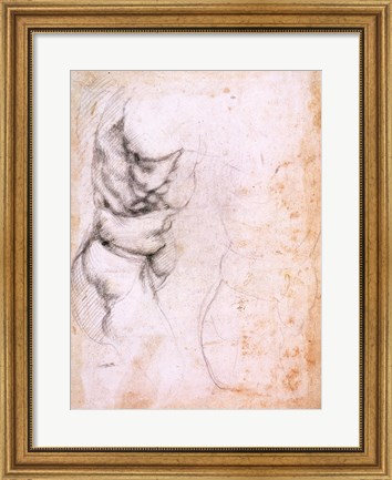 Framed Study of torso and buttock Print