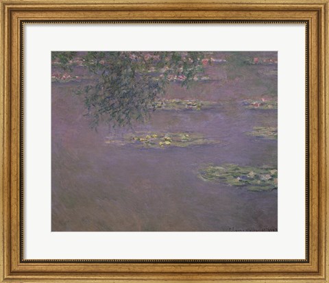 Framed Waterlilies, 1903 Print