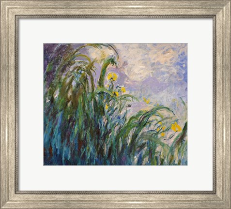 Framed Yellow Iris Print