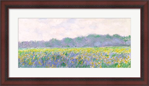 Framed Field of Yellow Irises at Giverny, 1887 Print
