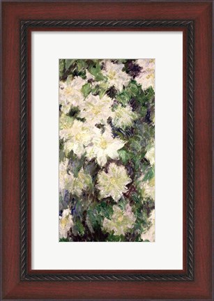 Framed White Clematis, 1887 Print