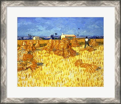 Framed Harvest in Provence Print