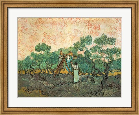 Framed Olive Pickers Print