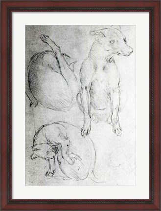 Framed Study of a dog and a cat Print