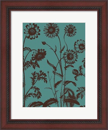 Framed Chrysanthemum 5 Print