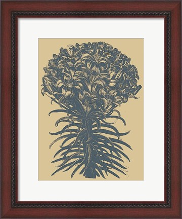 Framed Lilies 1 Print