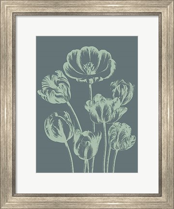 Framed Tulip 7 Print