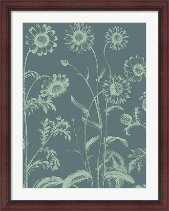 Framed Chrysanthemum 7 Print