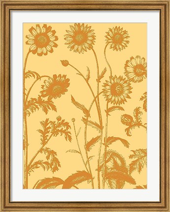 Framed Chrysanthemum 19 Print