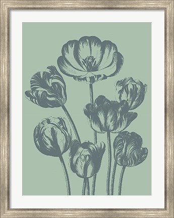 Framed Tulip 8 Print