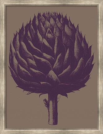 Framed Artichoke 14 Print