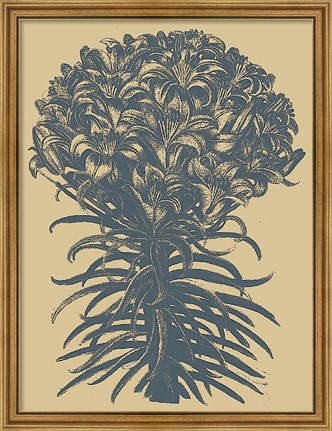 Framed Lilies 1 Print