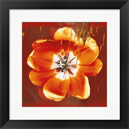 Framed Tulip Fresco (red) Print