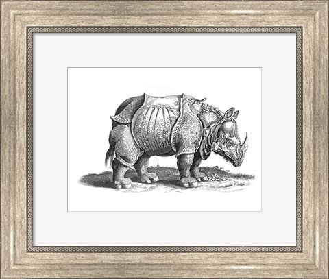 Framed Rhinoceros Print