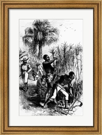 Framed Slaves Working on a Plantation Print