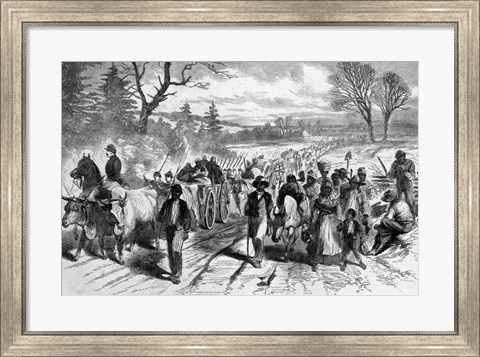 Framed Effects of the Proclamation: Freed Negroes Coming into Our Lines at Newbern, North Carolina Print