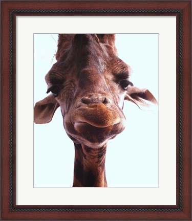 Framed Giraffe Face Print