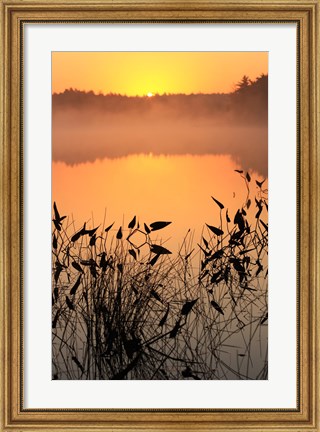 Framed Sunrise over a lake Print