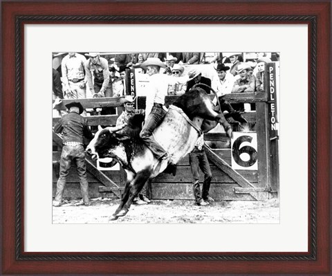 Framed Side profile of a cowboy riding a bull at a rodeo Print