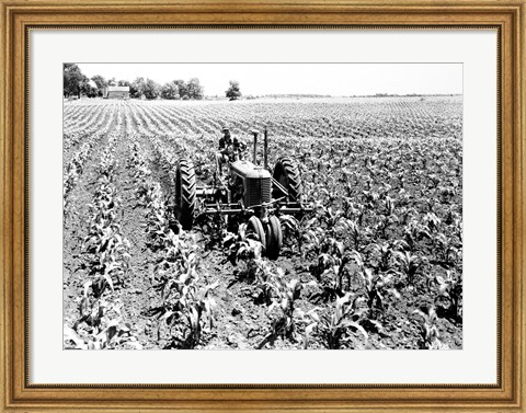 Framed Farmer Driving Tractor in Field Print