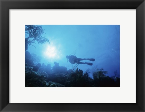 Framed Low angle view of a scuba diver swimming underwater, Belize Print