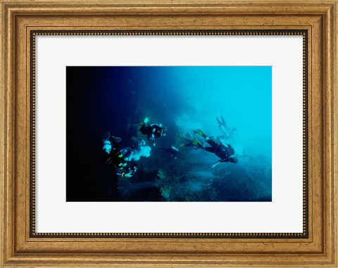 Framed Five scuba divers swimming underwater, Blue Hole, Belize Print