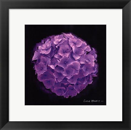 Framed Vibrant Flower I Print