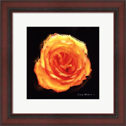 Framed Vibrant Flower II Print