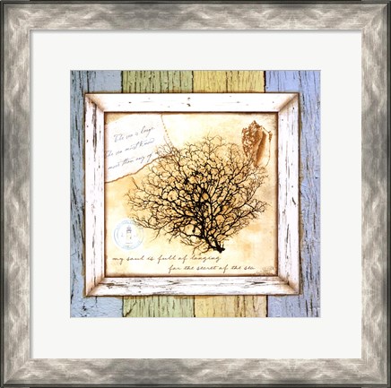 Framed Sea Treasures III Print