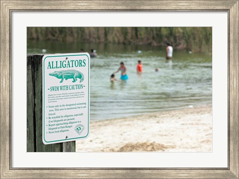 Framed Alligators warning sign at the lakeside, Florida, USA Print