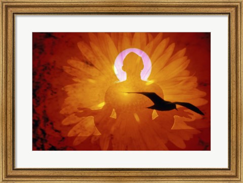 Framed Image of a flower and bird superimposed on a person meditating Print