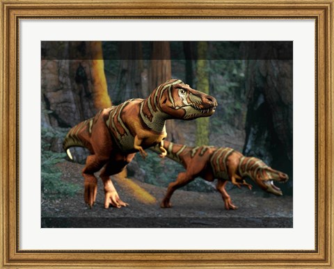 Framed T Rex Pair Print