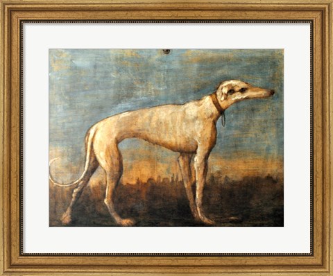 Framed Greyhound, Giandomenico Tiepolo Print