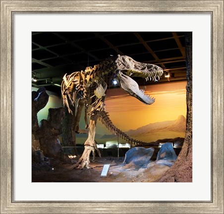 Framed Tyrannosaurus Fossil Reproduction Print