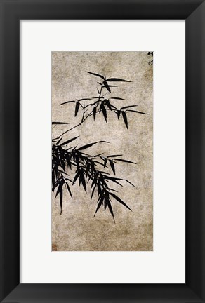 Framed Xia Chang- Ink Bamboo Print