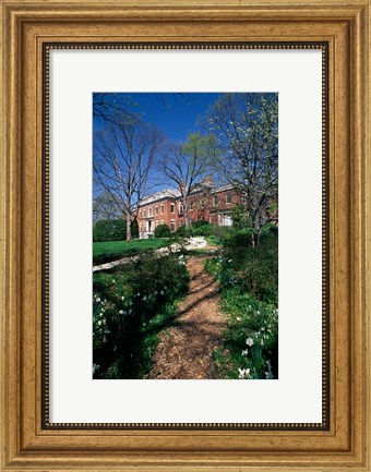 Framed Trees in a garden, Dumbarton Oaks House, Georgetown, Washington DC, USA Print