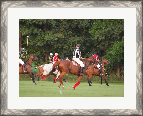 Framed Polo Umpire Print