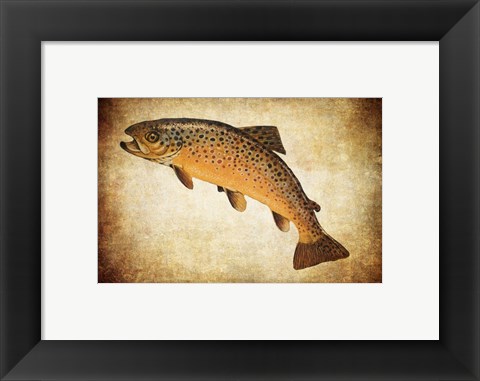 Framed Brown Trout II Print